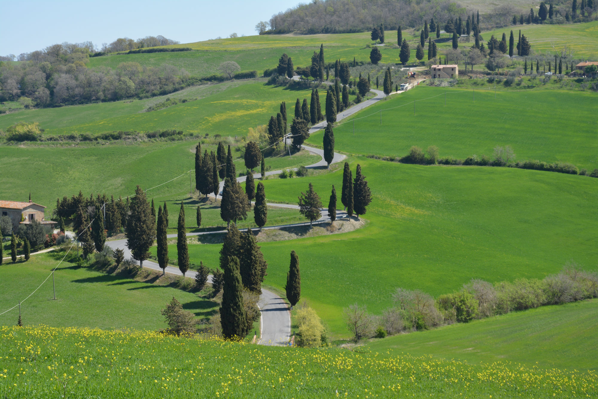 toscana-cipressi
